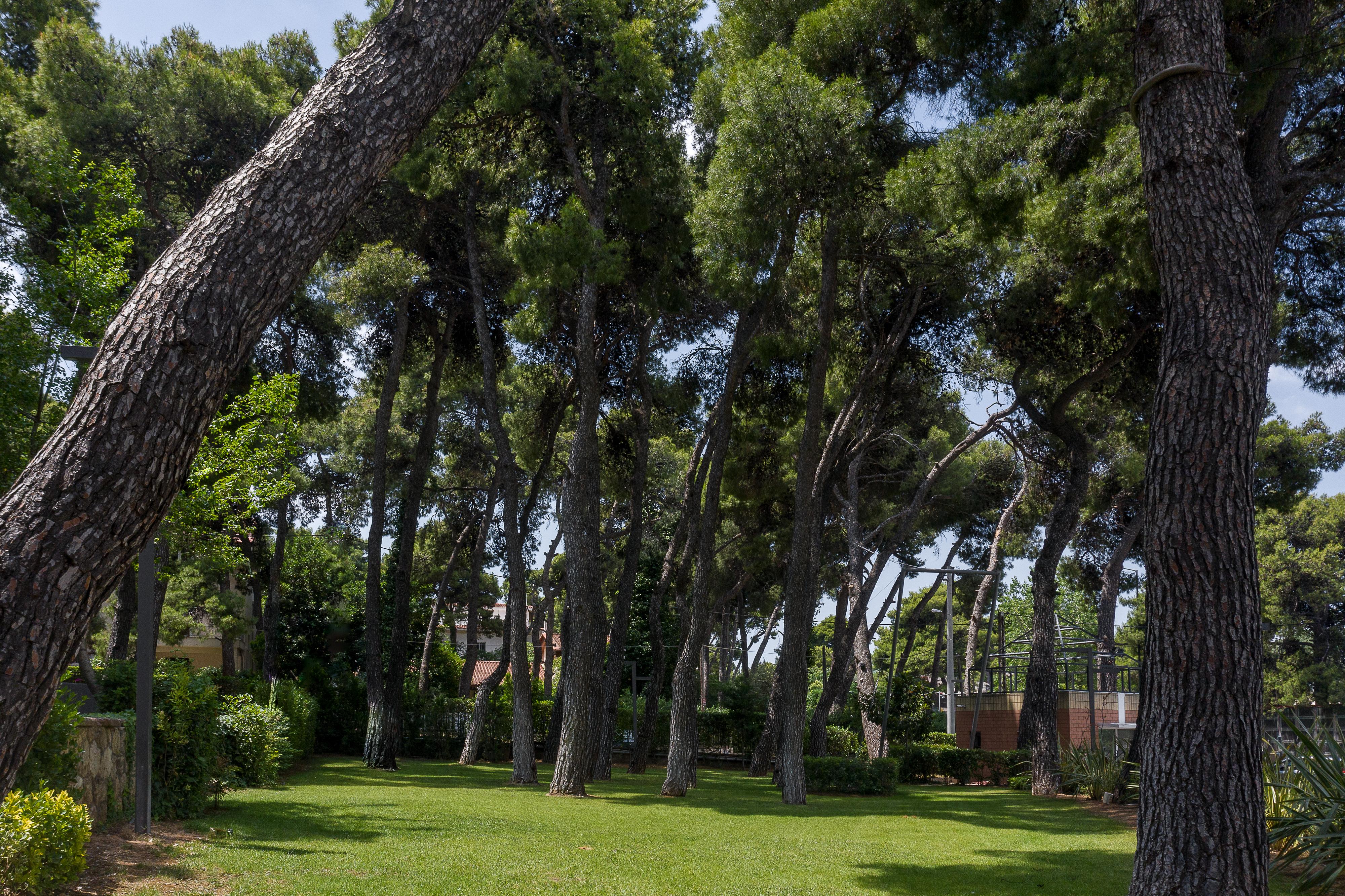 Domotel Kastri Афины Экстерьер фото